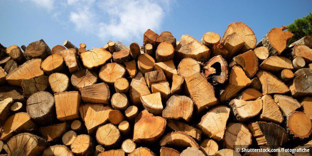 Cheap firewood on the Internet - a new scam by online scammers. Cheap firewood on the Internet - a new scam by online scammers.
